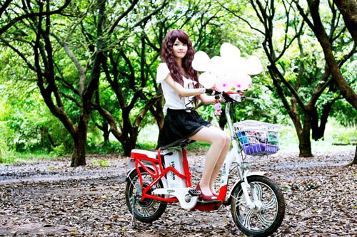 Xe đạp điện Zinger Extra của HKBike